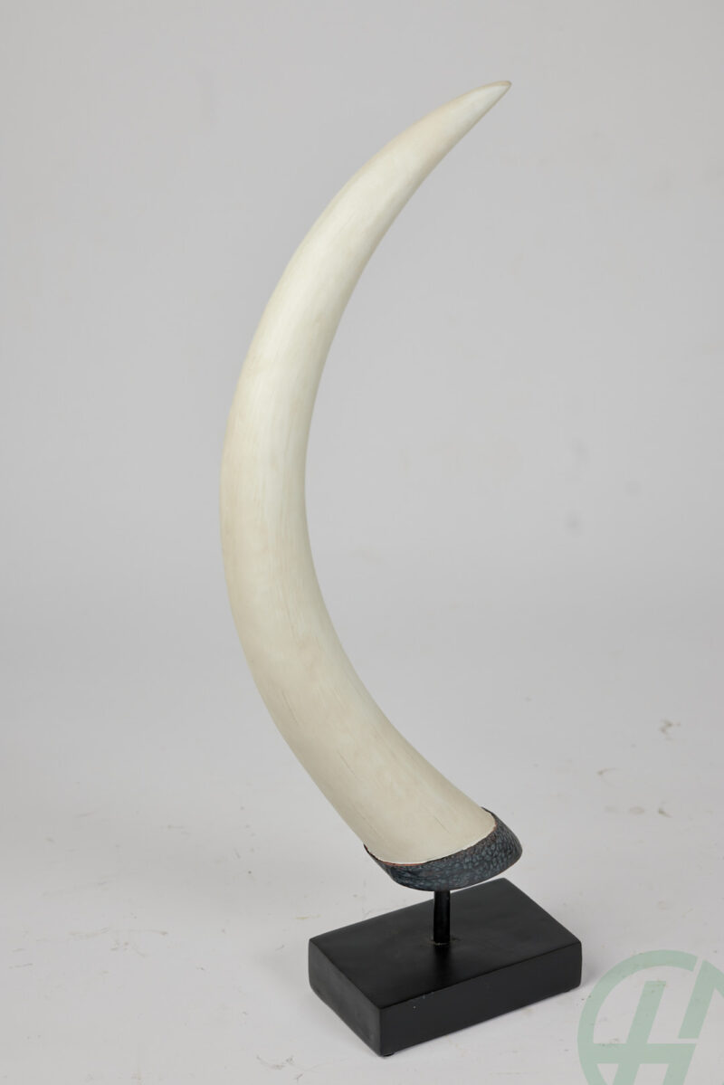 RESIN HORN ON STAND/Height 334mm Width 182mm Length 770mm