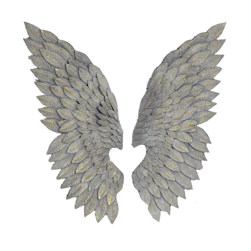 Pair Feather Effect Wings(110cm H: 48cm W:3cm D)