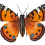 Orange Butterfly