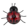 LADYBIRD MAGNET