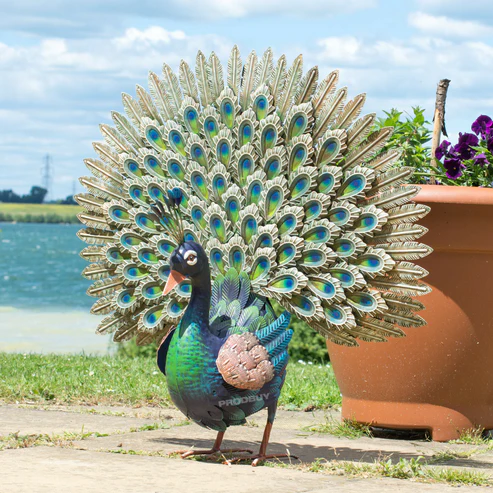 Peacock Fanned Tail Metal Indoor/Outdoor Ornament (H:65cm x L:55cm x W:30cm))