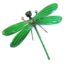 Dragonfly Wall Art Green