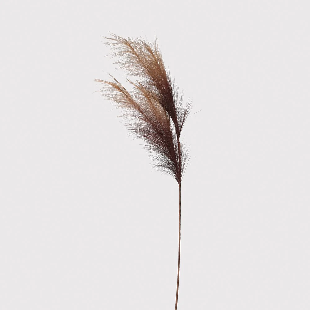 Brown Pampas Stem(H:100 cm)