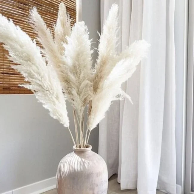 Pack of 3 Small White Pampas - other décor items