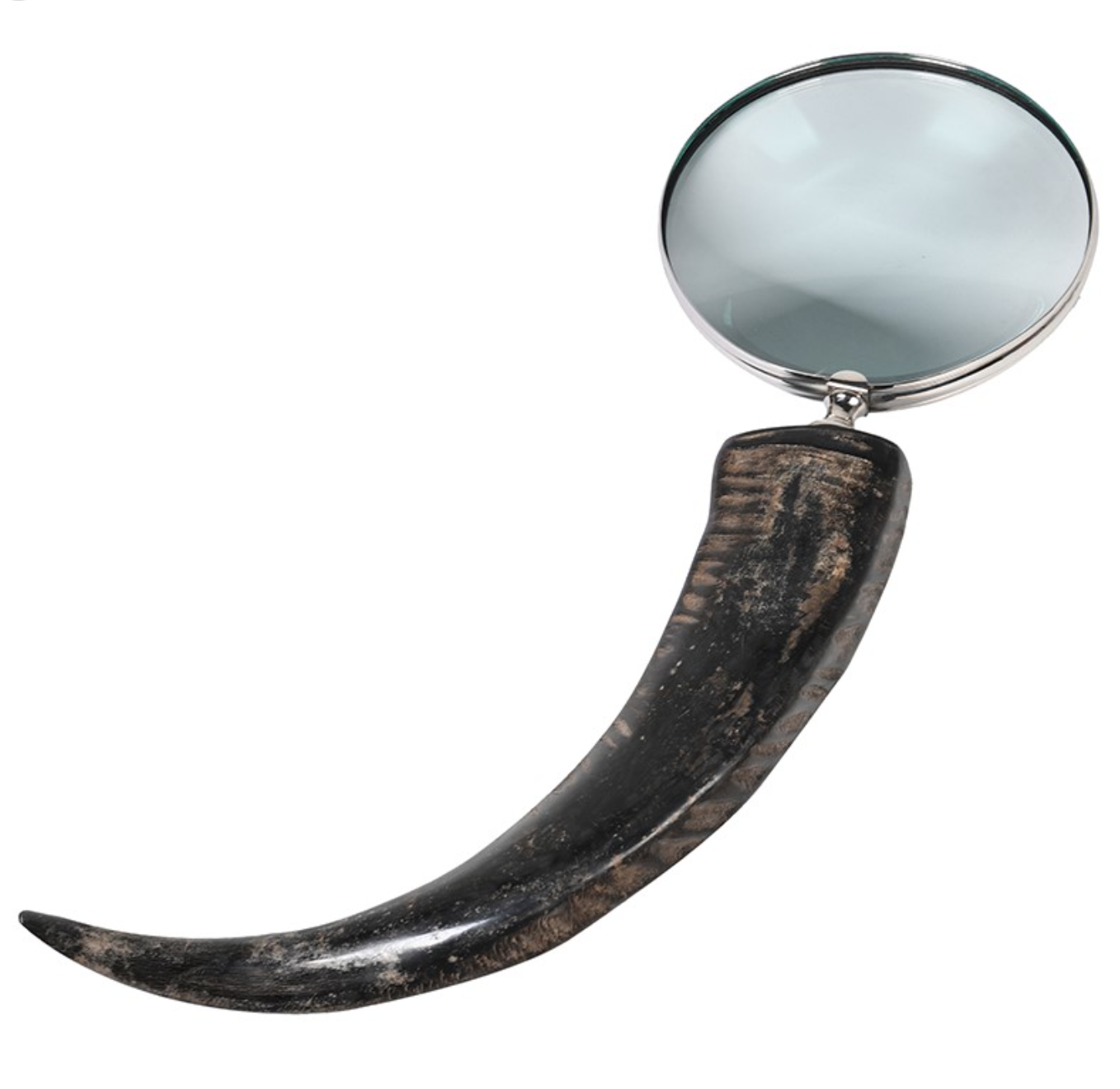 Decorative Horn Magnifying Glass(H:77 W:30 D:7cm)