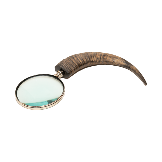 Decorative Horn Magnifying Glass