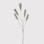 Grey Reed Grass Spray