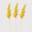 Set of 3 Yellow Real Dried Pampas